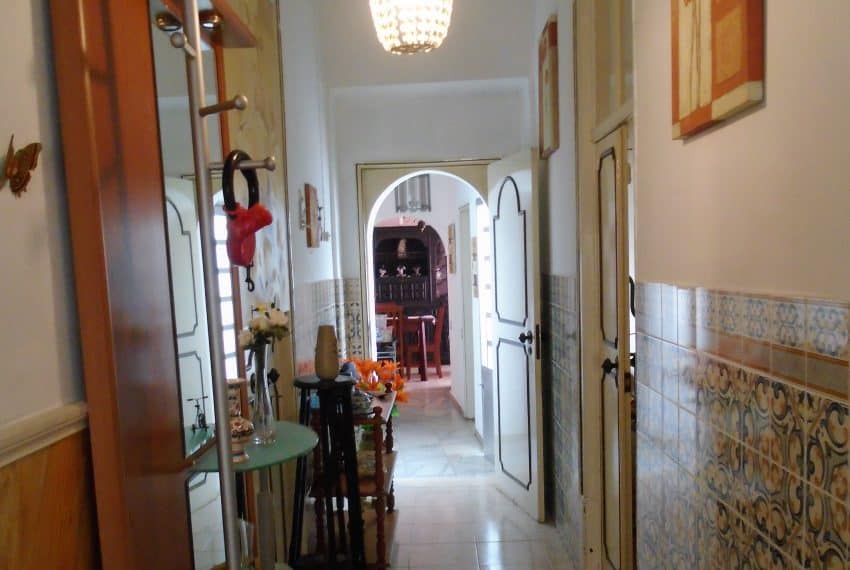 DSC01736 - Cópia