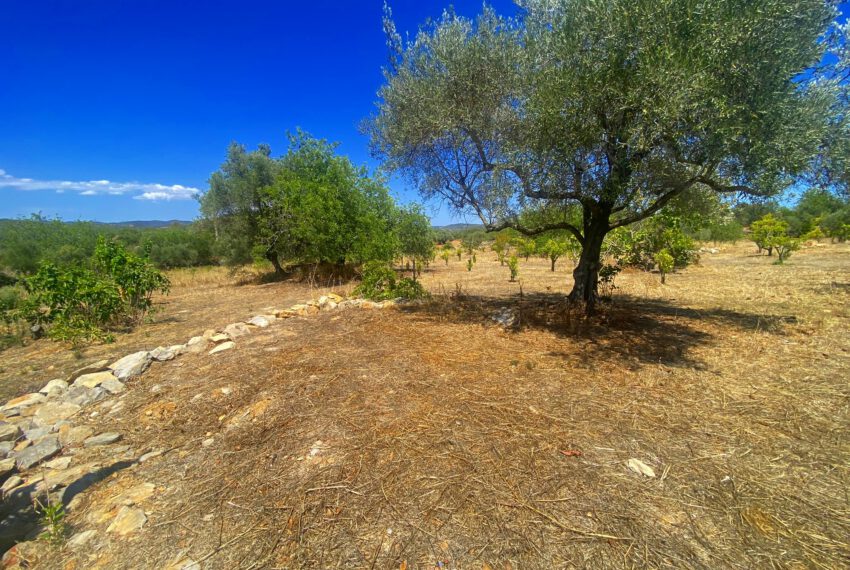 cottage with annex Moncarapacho beach East Algarve golf (10)