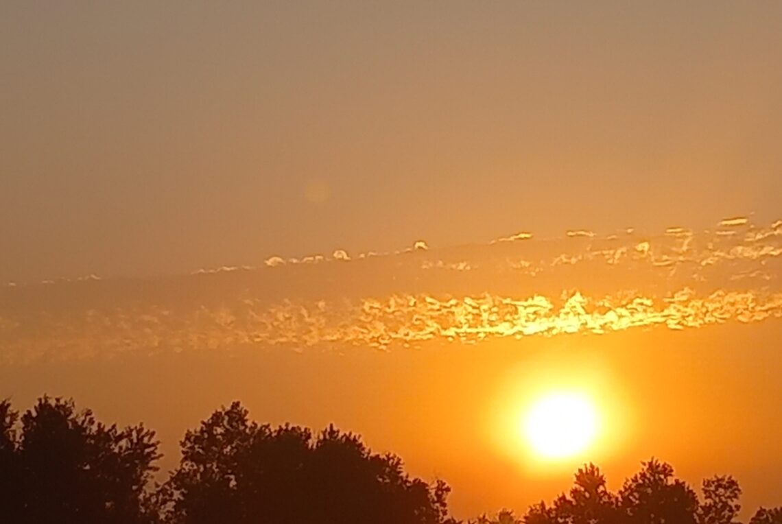 20250731_202423